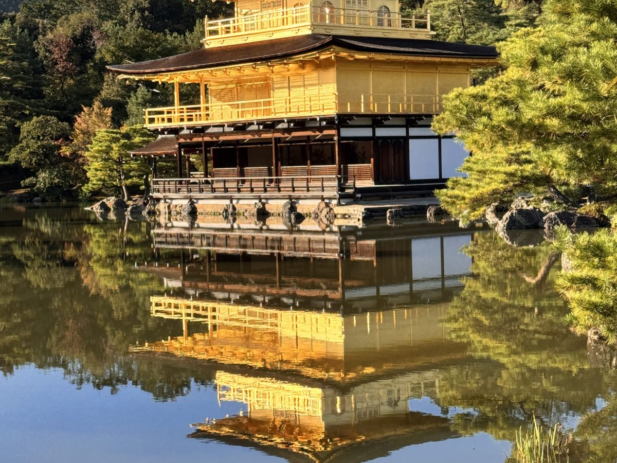 Unforgettable Moments in Japan: Toilets, Trash, and More