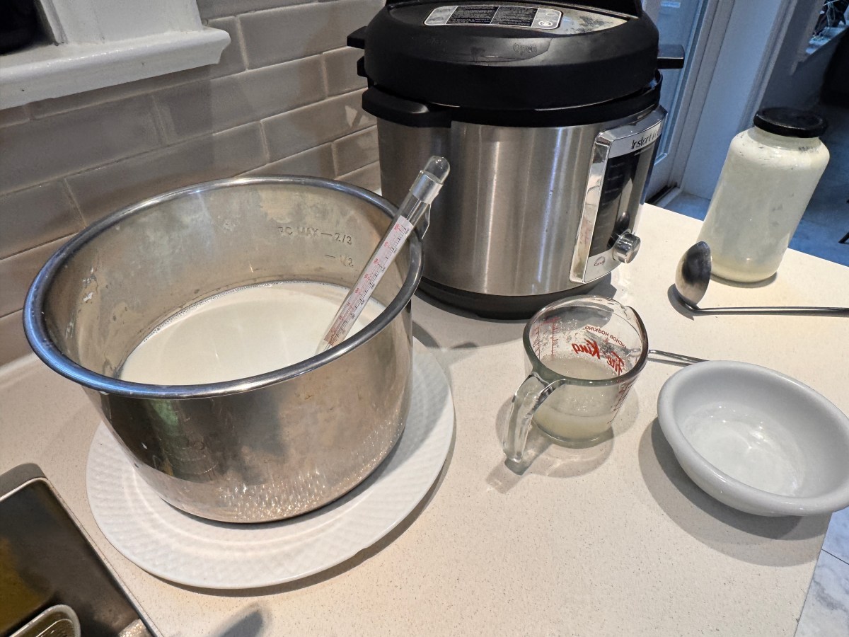 Ricardo is back and solved a major problem in yogurt making